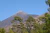 Teide