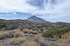 Teide