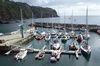Anima rechts im Vordergrund in der Marina von Lajes, Insel Flores